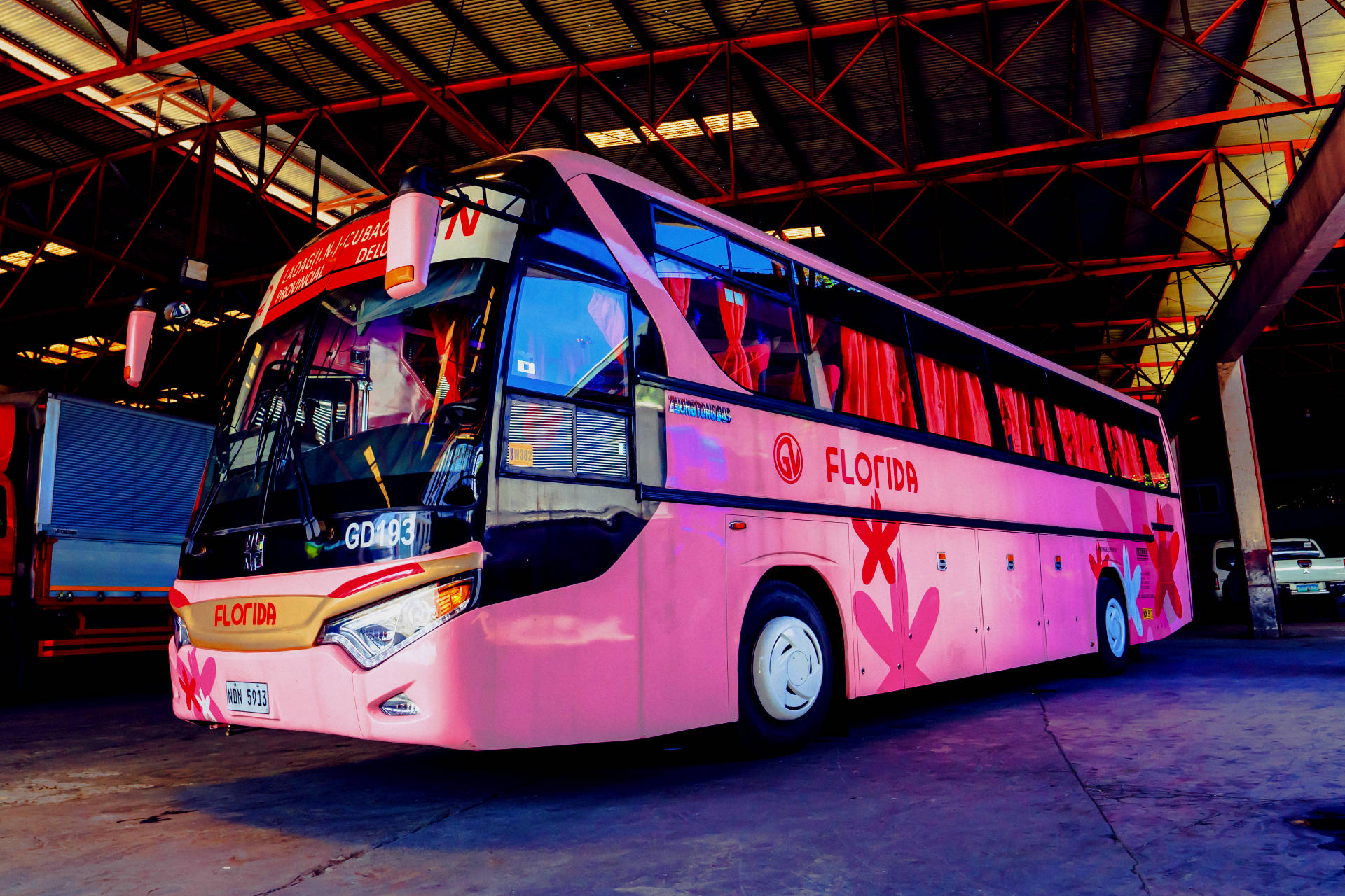 Pink Florida bus at the terminal